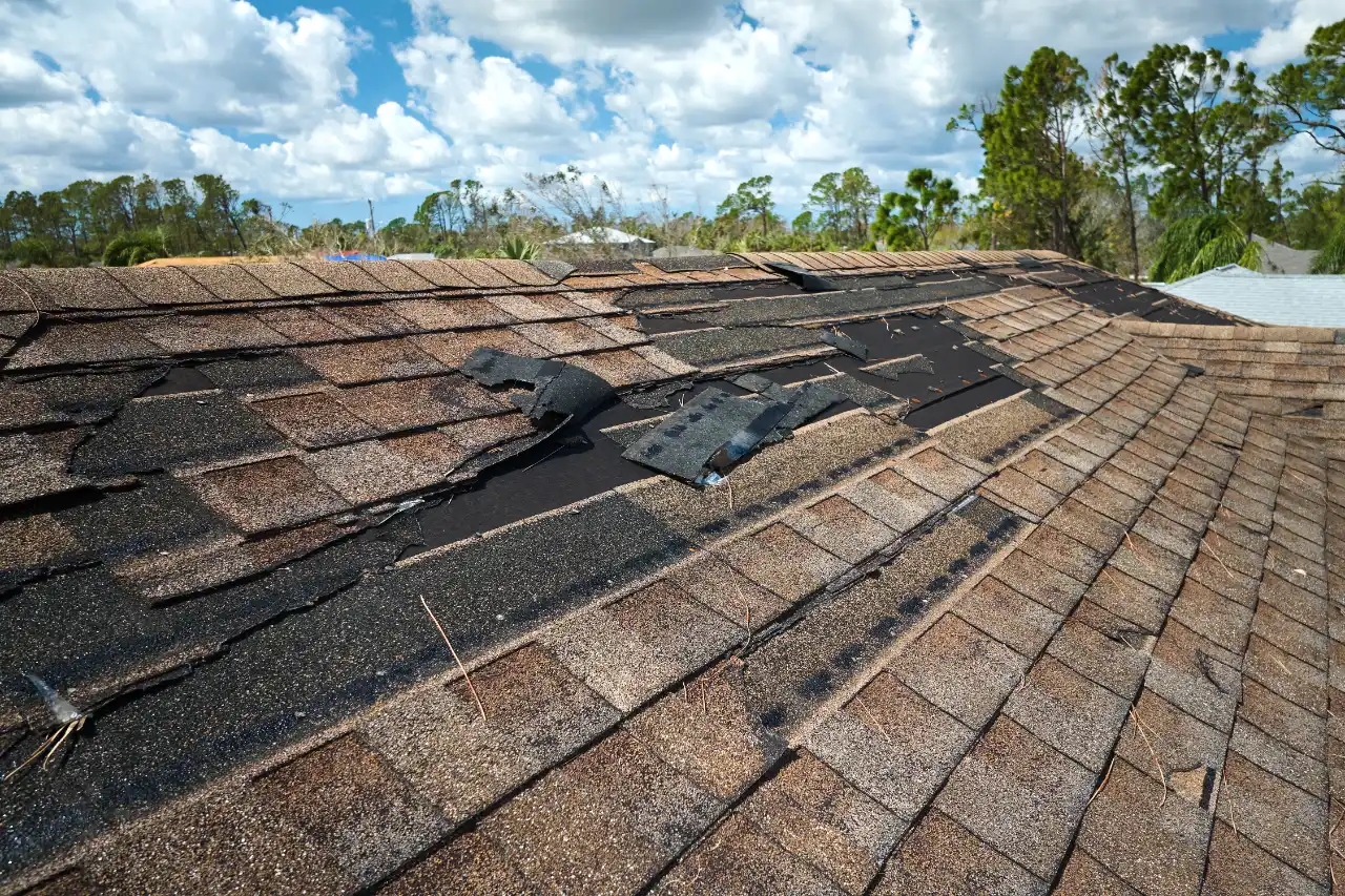 Roof shingle replacement in New Jersey